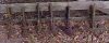 Filename=different_size_shovels.jpg
Filesize=148KB
Dimensions=606x245
Date added=Jan 07, 2008 different_size_shovels.jpg