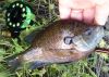 20140606_195754.jpg