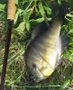20140609_175515.jpg