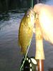 2nd_Smallie.jpg