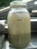 Soil_Samples_Plot_4.JPG