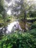 St_Jones_River.jpg