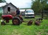 grover_078.jpg