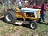 tn_cubfest_087.jpg