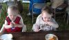 IMAG0242.jpg