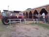 SNC00329.jpg