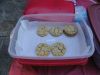 DSC01185.JPG