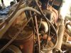 distributor___oil_filter.JPG