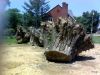 Stump_3.jpg