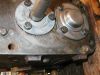 P1010009_(Small)~0.JPG