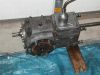 P1010010_(Small)~0.JPG
