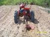 100_3572w.jpg