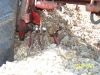 100_3578w.jpg