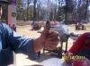 Deep_South_Cub_Fest_17-19_Feb_2011_059_(Small).jpg