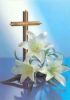 easter_lilly.jpg