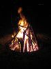 Bonfire.jpg
