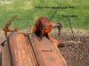 2Howard_IMG_0823.jpg
