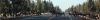 Elk_herd_IMG_7882_small.jpg