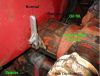Howard_CD6_IMG_0829.jpg