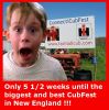 5_half_weeks.jpg