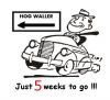 Filename=5_weeks_to_go.jpg
Filesize=27KB
Dimensions=400x365
Date added=Mar 10, 2012 5_weeks_to_go.jpg