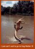 Filename=alligator_hogwaller.jpg
Filesize=86KB
Dimensions=490x672
Date added=Mar 16, 2012 alligator_hogwaller.jpg