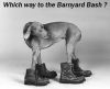 Filename=dog_boots.jpg
Filesize=35KB
Dimensions=493x403
Date added=Mar 11, 2012 dog_boots.jpg