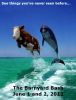 dolphincow.jpg