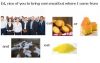 edcorn.jpg