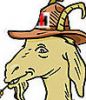 goat_w_hat.jpg