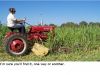 mowing_chain~0.jpg