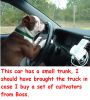 Filename=should_have_brought_car.jpg
Filesize=92KB
Dimensions=600x660
Date added=Feb 29, 2012 should_have_brought_car.jpg