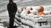 snow-101812-3_650x366.jpg