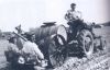 tobacco-transplanting.jpg
