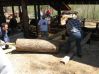 18_inch_x_60_inch_White_Oak_Log.jpg