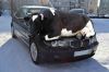 cold_cow.jpg