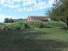 garden_8-13_(Small).jpg